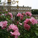 Nancy Rose Photo 11