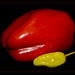 Aaron Peppers Photo 20