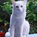John Gato Photo 27