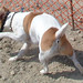 Russell Day Photo 38