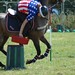 Beau Montgomery Photo 30