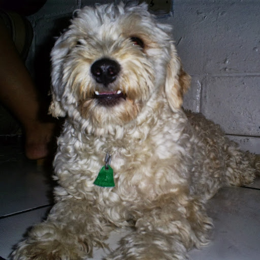 Kenny Miranda Photo 13