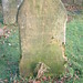 William Chamberlain Photo 39