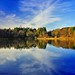 Steve Stover Photo 37