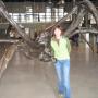Shirley Welsh Photo 22