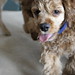 Wilson Tucker Photo 19