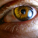 Richard Lash Photo 28