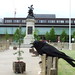 David Eldon Photo 17