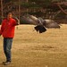 Jo Hawks Photo 14