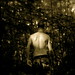 Joshua Mccarthy Photo 47
