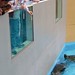 Travis Seals Photo 27