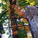 Frederick Gates Photo 24