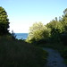 Doris Mccarthy Photo 31