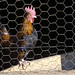 David Hager Photo 49
