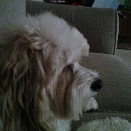 Mamie Bailey Photo 8