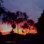 Omar Rosales Photo 21
