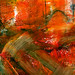 Cynthia Marrs Photo 14