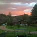 Wally Hill Photo 23