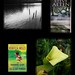 Steve Callas Photo 17