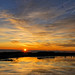 Dawn Parker Photo 45