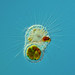 Felix Mancha Photo 21