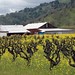 Debra Valley Photo 28