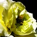 Ray Hurtado Photo 19