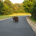 Sam Boykin Photo 23