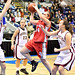 Peter Kravitz Photo 16