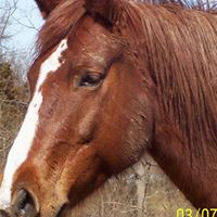 Lisa Salyer Photo 7