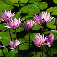 Jaimin Patel Photo 7