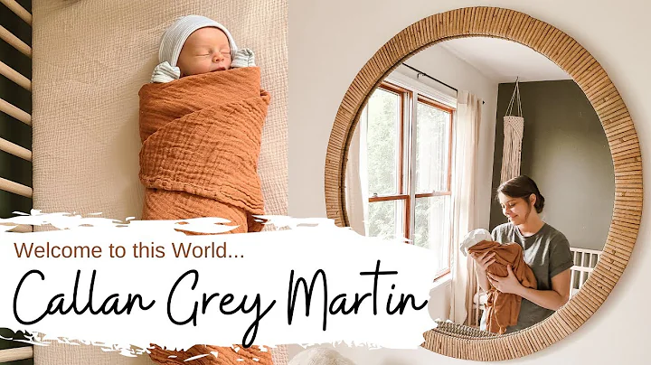 Grey Martin Photo 18