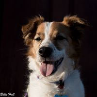 Billie Hall Photo 9