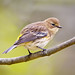 Jim Wimberly Photo 31