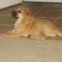 Bruce Blackwell Photo 28