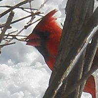 Stephen Mckeon Photo 1