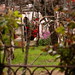 Susan Hardiman Photo 25