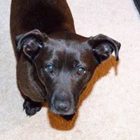 Penny Pickett Photo 3