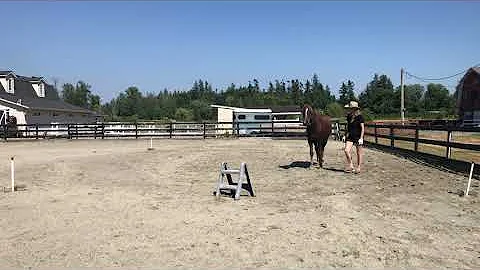 Tammy Mclellan Photo 26