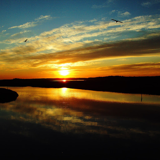 Matt Grice Photo 10