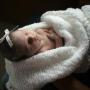 Patty Shaver Photo 16