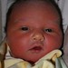 Ann Kelly Photo 48