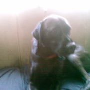 Harvey Parker Photo 3