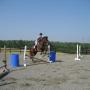 Melissa Gaynor Photo 15