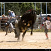 Danny Stroud Photo 34