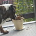 Basil Bailey Photo 20