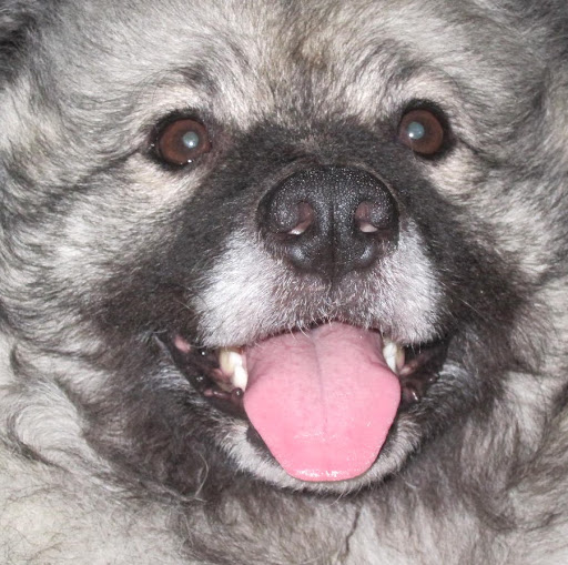 Bonnie Duncan Photo 9