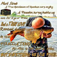 Mark Stroh Photo 7