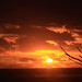 David Gipp Photo 18