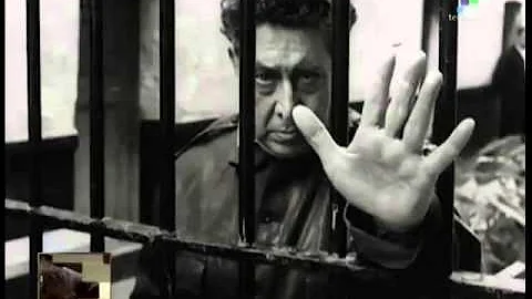 David Alfaro Photo 30